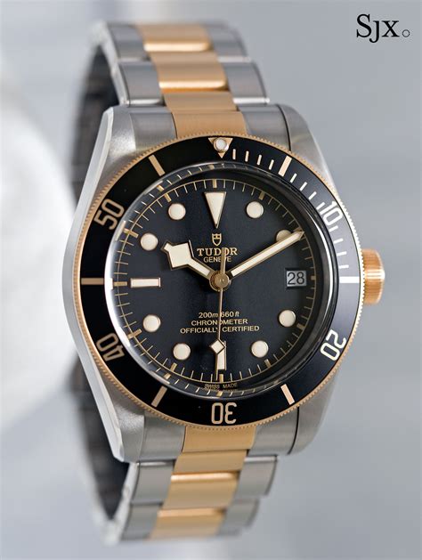 tudor black bay s&g prezzo|79733n.